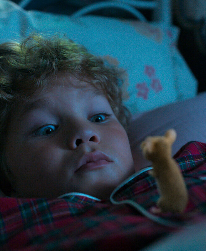 Мышиный переполох