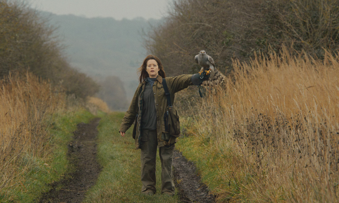 Я – значит Ястреб