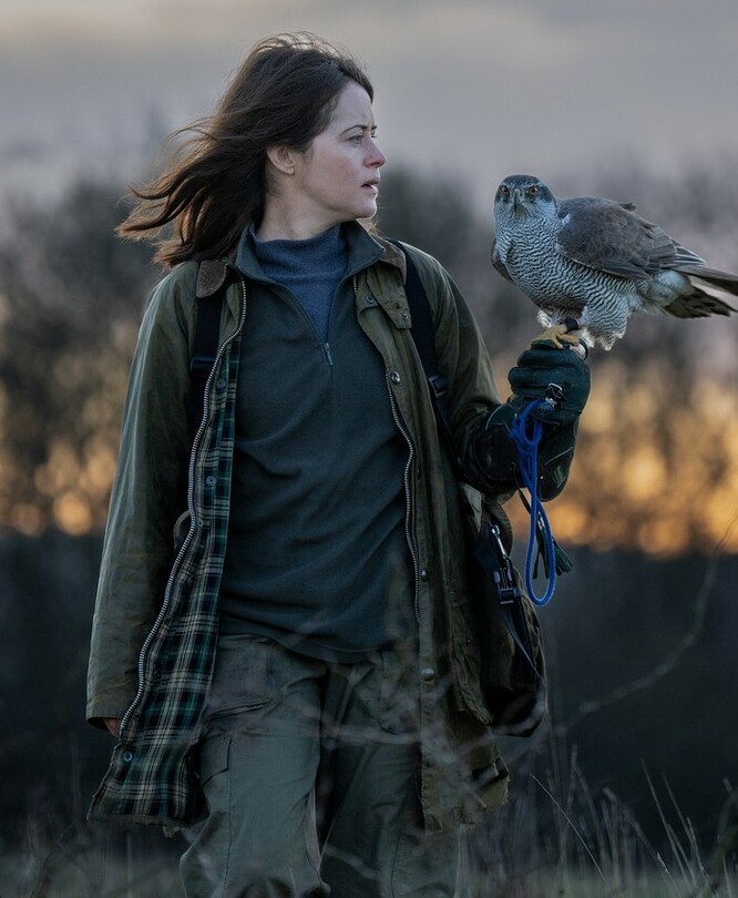 Я – значит Ястреб