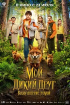 Мой дикий друг. Возвращение домой
